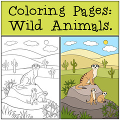 Coloring Pages: Wild Animals. Little cute meerkat smiles.