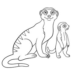 Coloring pages. Mother meerkat with her cute baby.
