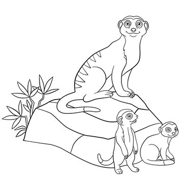 Coloring Pages. Mother Meerkat With Her Cute Babies.