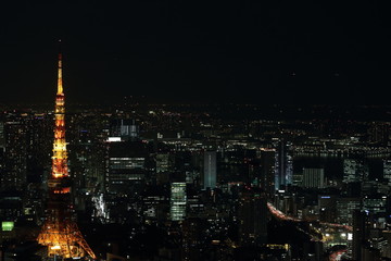 Fototapeta premium Nocny widok na Tokio