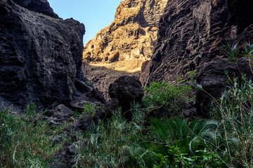 Hiking in Gorge Masca. Volcanic island. Mountains of the island of Tenerife, Canary Island, Spain.