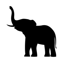 elephant with raised trunk