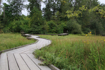 A wooden boardwalk overtop a green meadow.