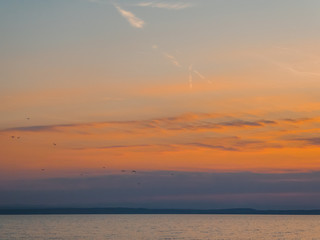 A flock of birds flying over Neusiedlersee, on Austrian-Hungarian border. Soft colors of the sunset on the sky, color it orange and yellow. calm surface of the lake, hill on the other side of the lake