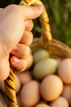 cesta de huevos