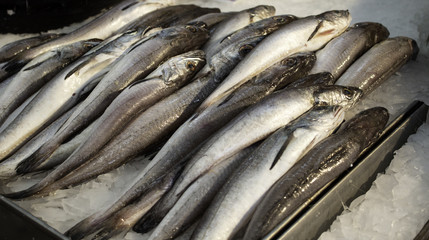 Obraz premium Sardines in fish shop
