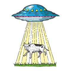 UFO kidnaps the cow color sketch engraving vector illustration. Scratch board style imitation. Hand drawn image. © Oleksandr Pokusai
