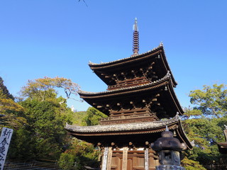 石手寺三重塔