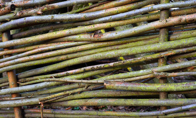 Willow weave hedge background.