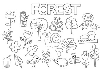 Forest set of icons and objects. Hand drawn doodle nature flora and fauna design concept. Black and white outline coloring page game. Monochrome line art. Vector illustration.