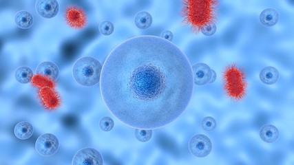 3D illustration of process infecting cell of pathogenic microorganisms.
