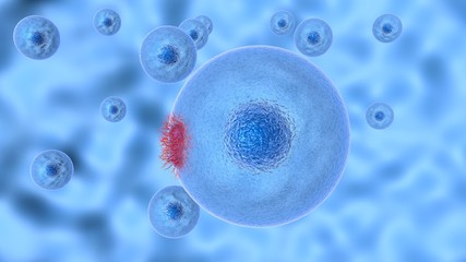 3D illustration of process infecting cell of pathogenic microorganisms. - obrazy, fototapety, plakaty