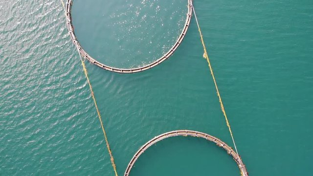 Salmon fishing fish farm on the sea in Lofoten islands Norway. Aerial view