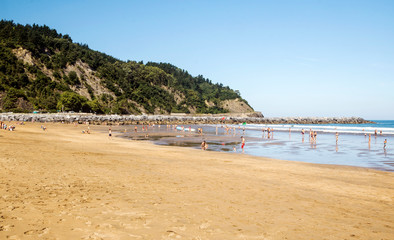 Fototapeta na wymiar Sandy beach on a sunny day