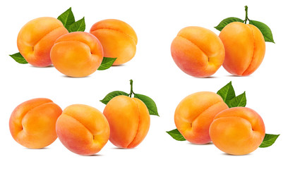 Fresh apricot isolated on white background with clipping path