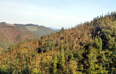 Mountains in the spanish basque country in a sunny day