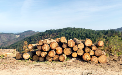Mountains in the spanish basque country in a sunny day