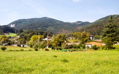 Fototapeta na wymiar Meadows in rural village in the spanish basque country in a sunny day.