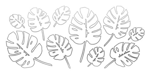 Silver Philodendron Leaves Set. Vector.