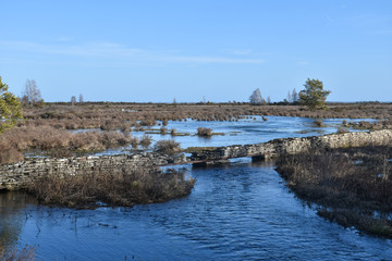 Flooded creek in a plain landscape