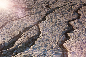 Dry earth, deep cracks, dead earth, environmental problem, disaster. The concept of environmental protection. Selective focus, copy space.