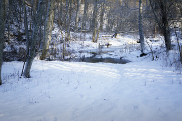 Forest river in winter