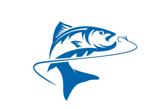 Fishing vector design logo template. - fish logo Vector - Vector