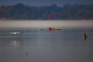 Canoe paddling lake on foggy morning