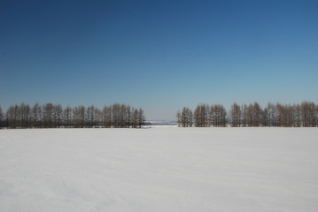 winter landscape