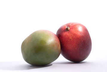 isolated pair of mango 
