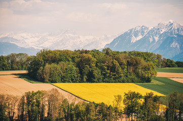 Farm land in spring, image taken in Canton of Vaud, Switzerland
