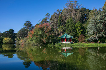 Obraz premium Chinese Pavilion in Golden Gate Park, San Francisco, CA