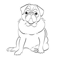 hand drawn line art pug dog, isolated on white background