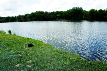 Pond in rural outback
