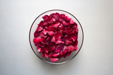 Glass bowl with purple red flower petals isolated on white background from a high angle view