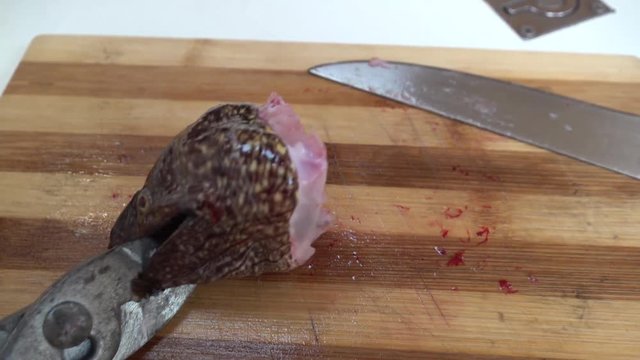 Severed head of moray eel on the cutting board