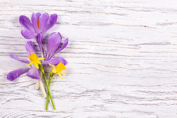 Bright fresh spring flowers on old wooden background