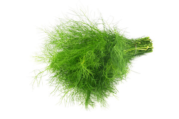 fennel bunch isolated on a white background