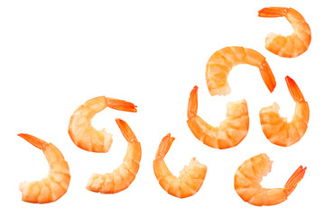 shrimps isolated on a white background. top view