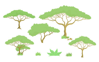 Baobab tree design set isolated on white background-vector illustration.