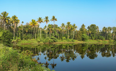 Reflections in the Periyar River.  Thattekad, Kerala, India