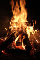 fire flames heat bonfire burning log 