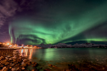 Amazing aurora borealis - northern lights - view from coast in Vagnes, near Tromso city -  north...