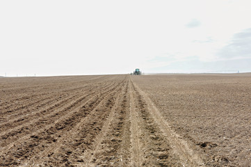 Sugar Beet Planting