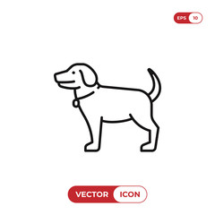 Dog vector icon