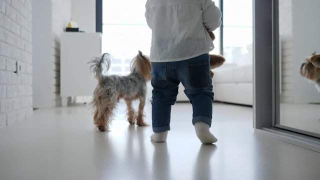 Small Baby Child Girl Legs In Jeans Walking At Home With Pet Dog