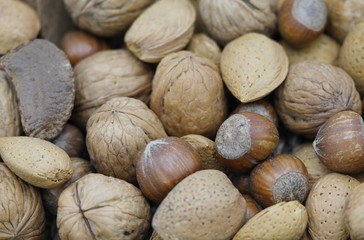 Macro photography of a pile of nuts