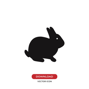 Rabbit vector icon