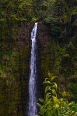 Hawaii Water Fall