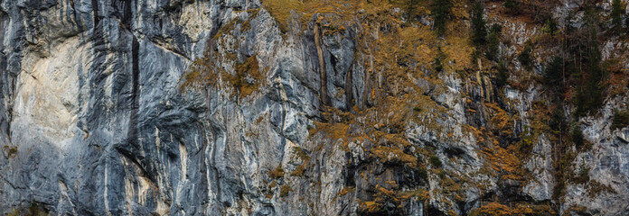 Obraz premium texture of a rock with moss and greens